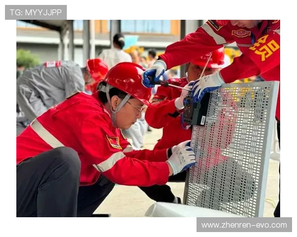 Pinnacle中文平台全方位解析与实用指南助力用户掌握核心技能